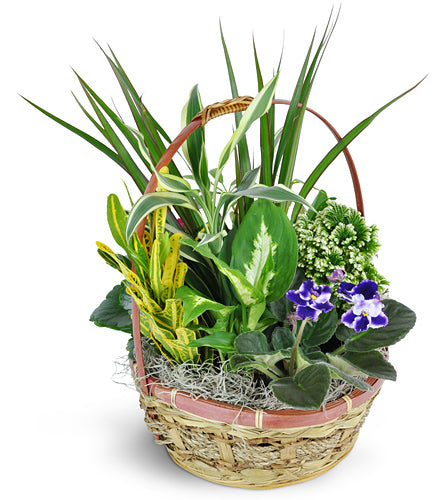 Basket of Love – Oliver Flower Shop Inc, Pittsburgh PA
