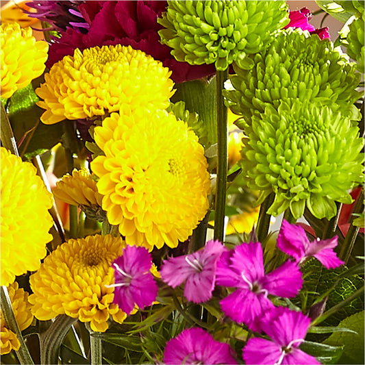Bold & Bright – A Florist Original – Oliver Flower Shop Inc, Pittsburgh PA
