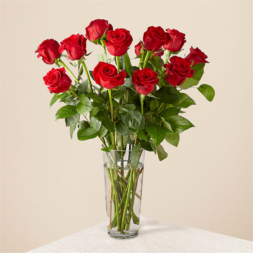 Long Stem Red Rose Bouquet – Oliver Flower Shop Inc, Pittsburgh PA