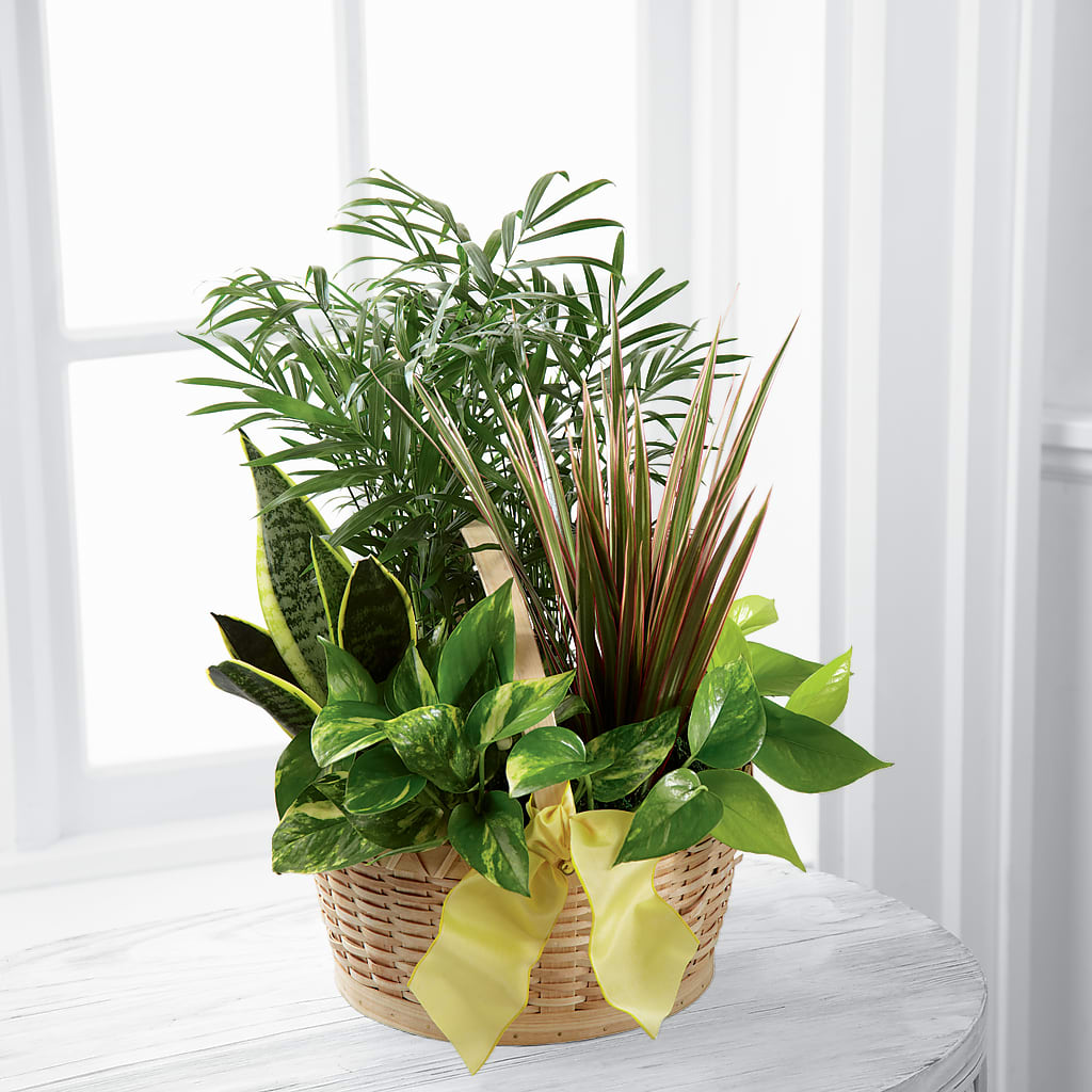 French Garden – Oliver Flower Shop Inc, Pittsburgh PA