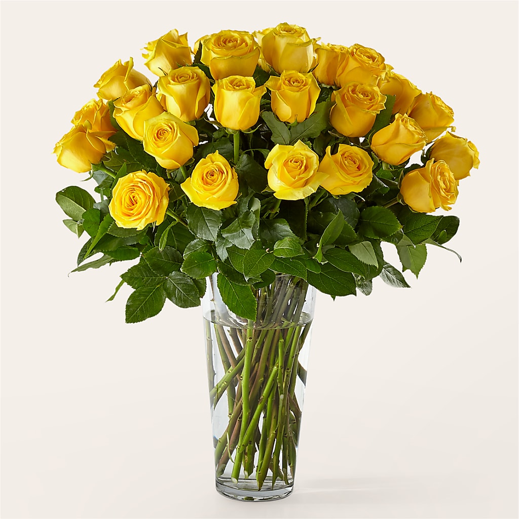 Long Stem Yellow Rose Bouquet – Oliver Flower Shop Inc, Pittsburgh PA