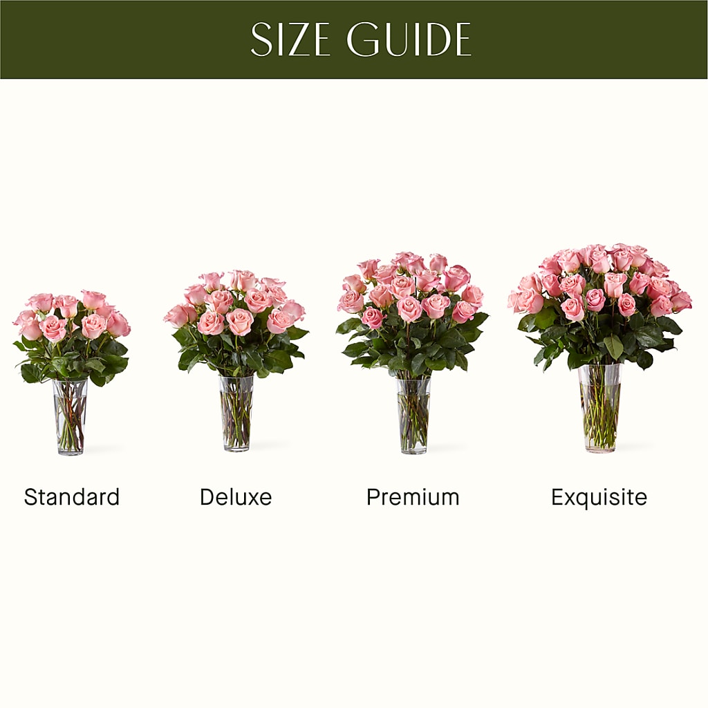 Long Stem Pink Rose Bouquet – Oliver Flower Shop Inc, Pittsburgh PA
