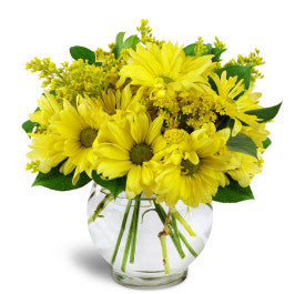 Daisy Dreams – Oliver Flower Shop Inc, Pittsburgh PA