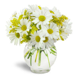 Perfectly Pleasing – Oliver Flower Shop Inc, Pittsburgh PA