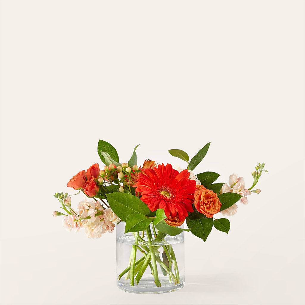 Paloma Please Bouquet – Oliver Flower Shop Inc, Pittsburgh PA