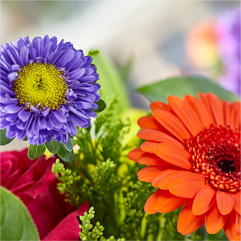 Bold & Bright – A Florist Original –  Oliver Flower Shop Inc, Pittsburgh PA