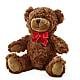 Adorable Plush Bear –  Oliver Flower Shop Inc, Pittsburgh PA