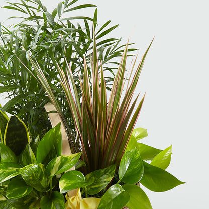 French Garden –  Oliver Flower Shop Inc, Pittsburgh PA