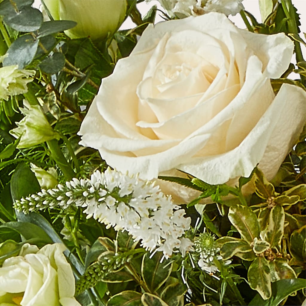 Cashmere Bouquet –  Oliver Flower Shop Inc, Pittsburgh PA