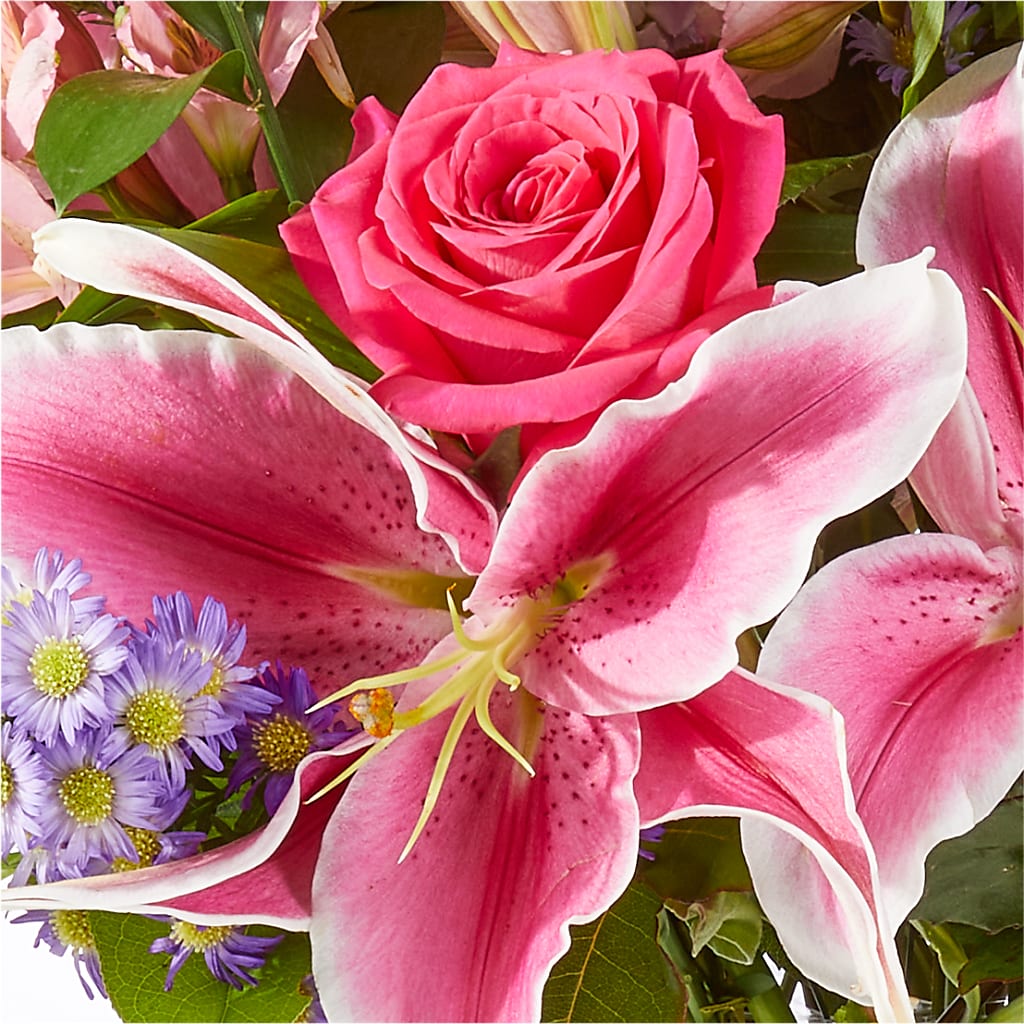 Written in the Stars Bouquet –  Oliver Flower Shop Inc, Pittsburgh PA
