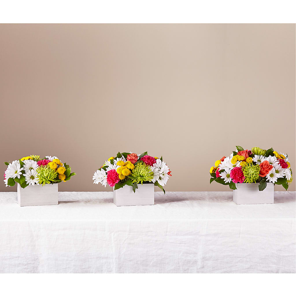 Sorbet Bouquet –  Oliver Flower Shop Inc, Pittsburgh PA