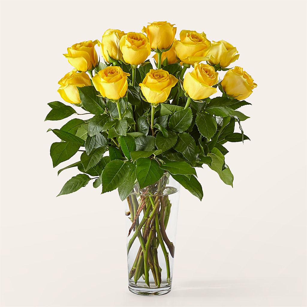 Long Stem Yellow Rose Bouquet –  Oliver Flower Shop Inc, Pittsburgh PA