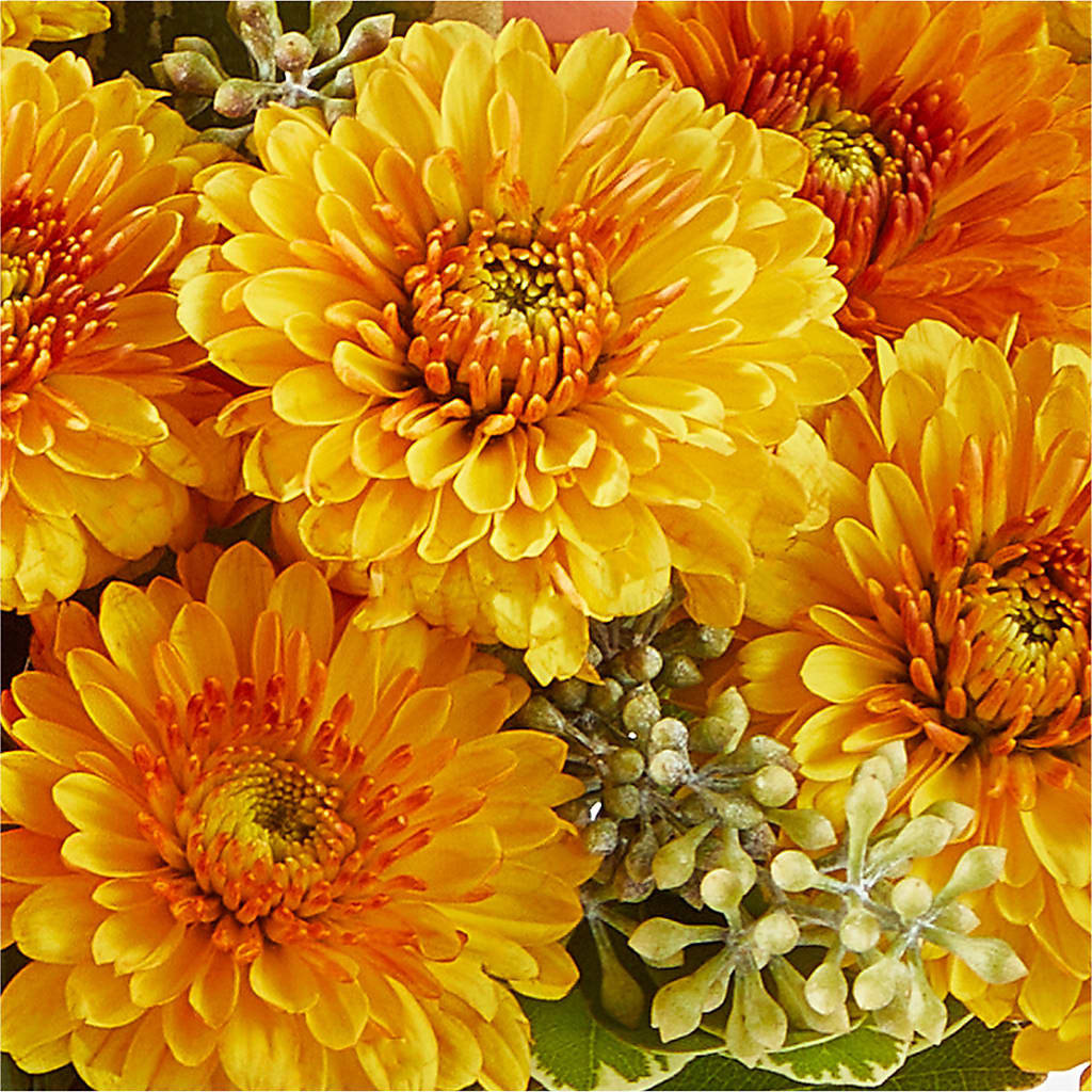 Peachy Pumpkin –  Oliver Flower Shop Inc, Pittsburgh PA