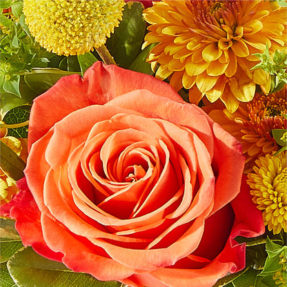 Gourdgeous Pumpkin –  Oliver Flower Shop Inc, Pittsburgh PA
