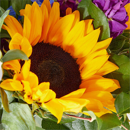 Catching Rays Bouquet –  Oliver Flower Shop Inc, Pittsburgh PA