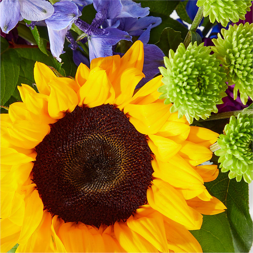 Catching Rays Bouquet –  Oliver Flower Shop Inc, Pittsburgh PA