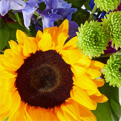 Catching Rays Bouquet –  Oliver Flower Shop Inc, Pittsburgh PA