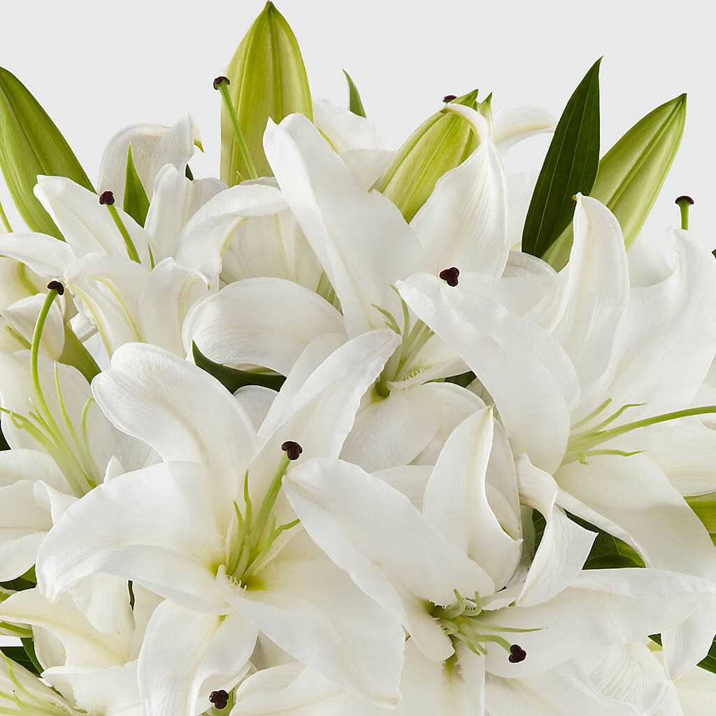 Faithful Blessings Bouquet –  Oliver Flower Shop Inc, Pittsburgh PA