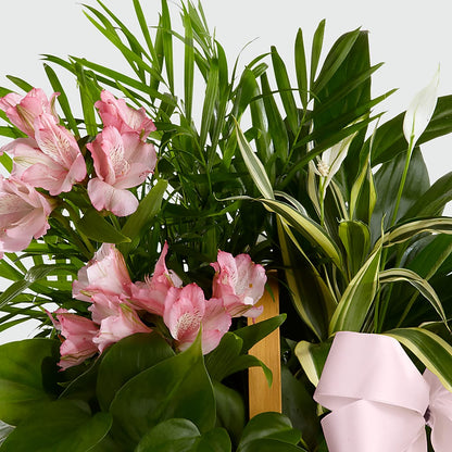 Living Spirit Dishgarden –  Oliver Flower Shop Inc, Pittsburgh PA