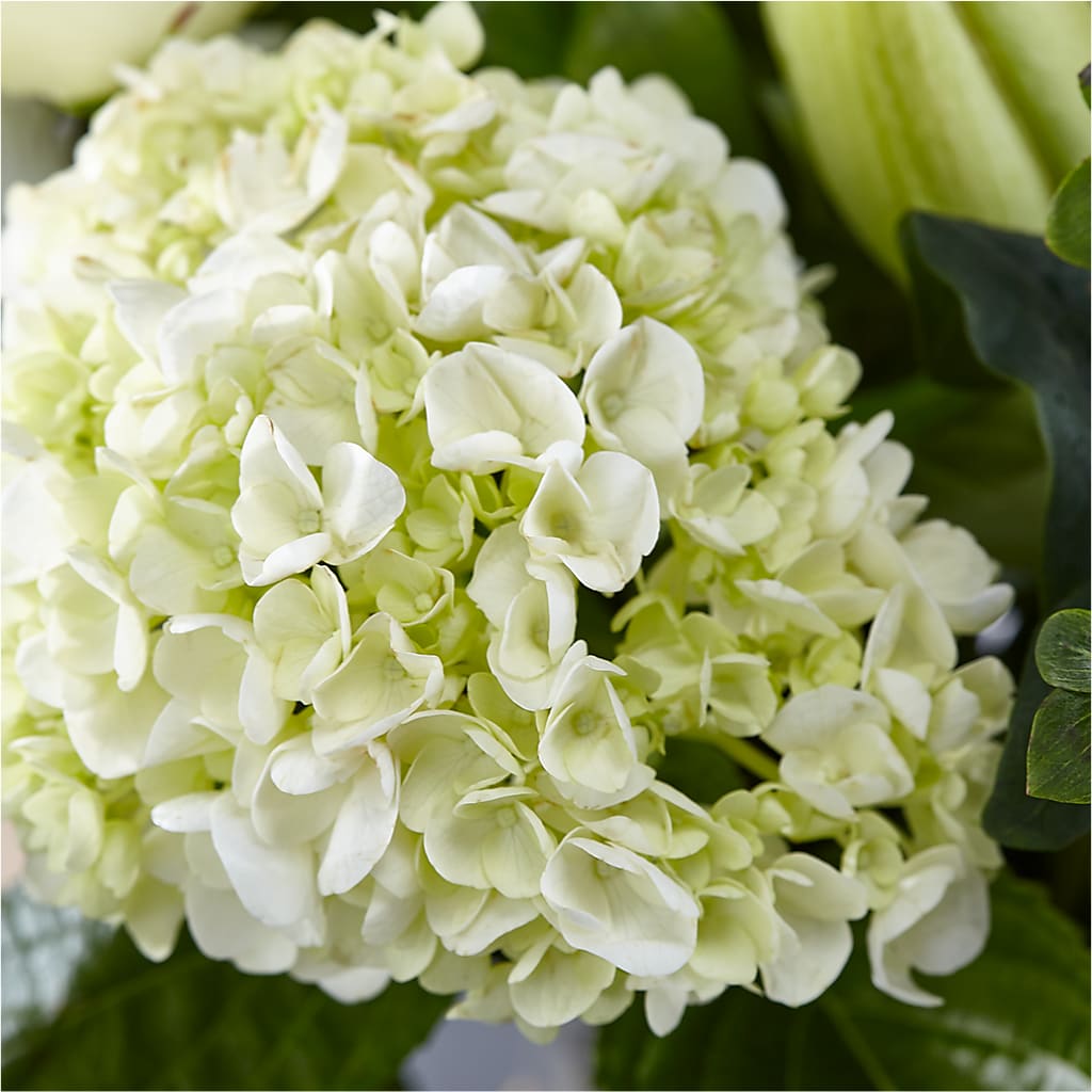 Classic Ivory – A Florist Original –  Oliver Flower Shop Inc, Pittsburgh PA