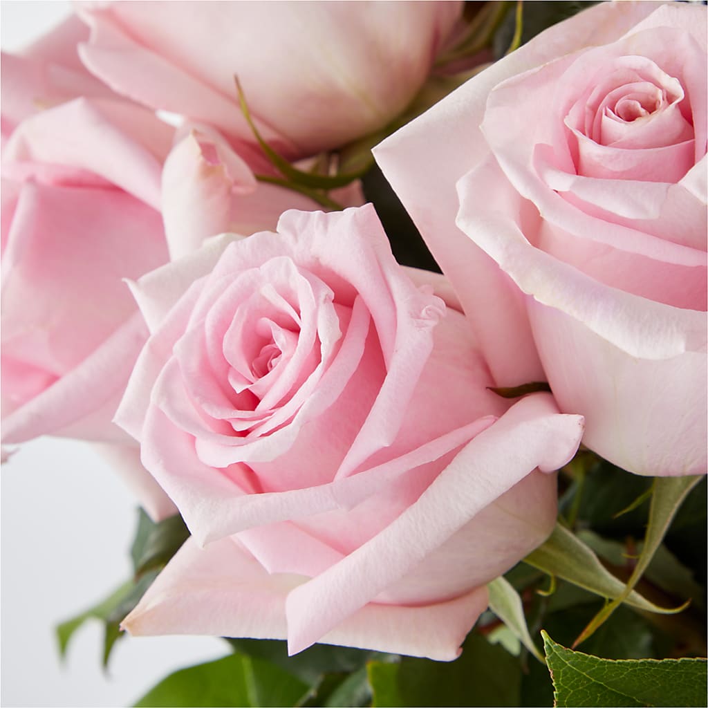 Picture Perfect Pink Rose Bouquet –  Oliver Flower Shop Inc, Pittsburgh PA