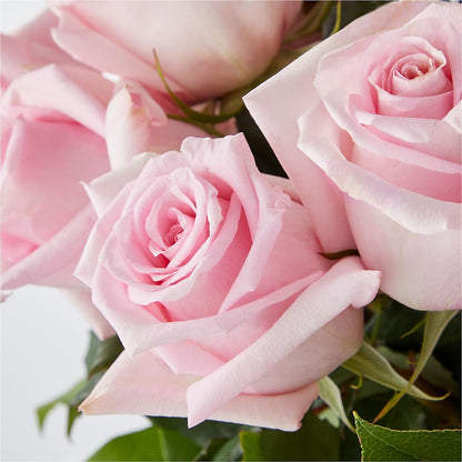 Picture Perfect Pink Rose Bouquet –  Oliver Flower Shop Inc, Pittsburgh PA