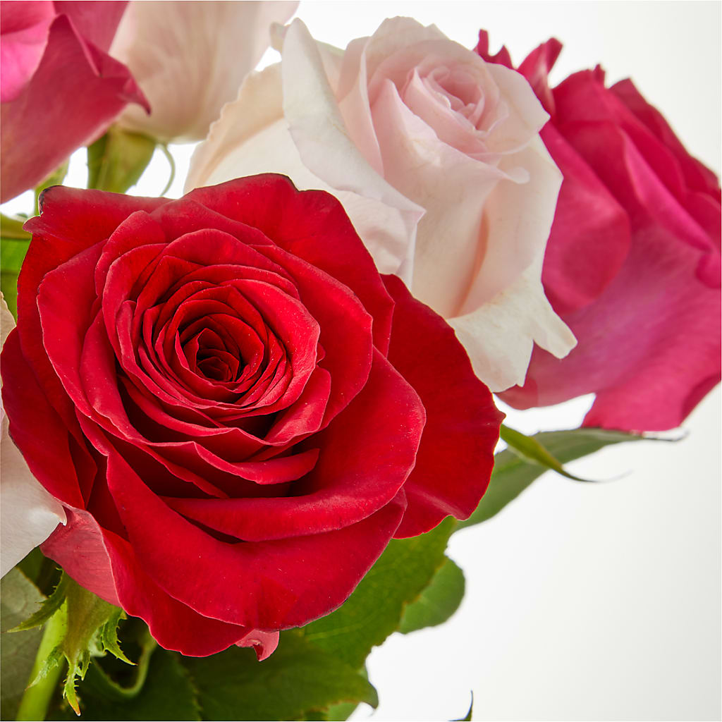 Charming Rose Bouquet –  Oliver Flower Shop Inc, Pittsburgh PA