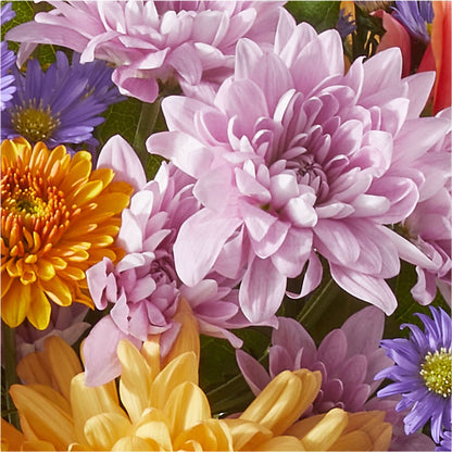 Countryside Bouquet –  Oliver Flower Shop Inc, Pittsburgh PA