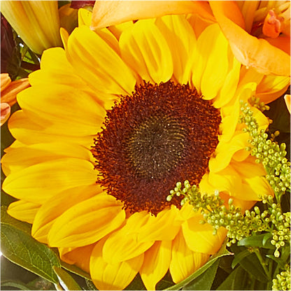 Seasons Change Bouquet –  Oliver Flower Shop Inc, Pittsburgh PA