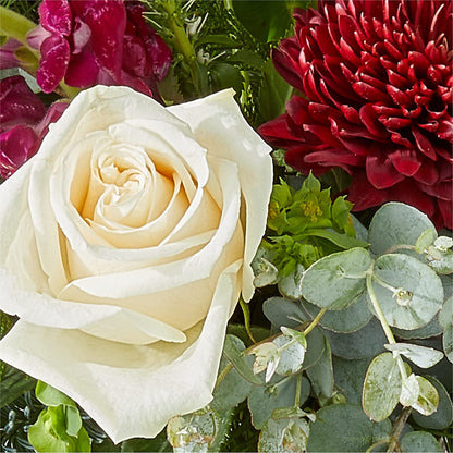 Cranberry Fizz Bouquet –  Oliver Flower Shop Inc, Pittsburgh PA
