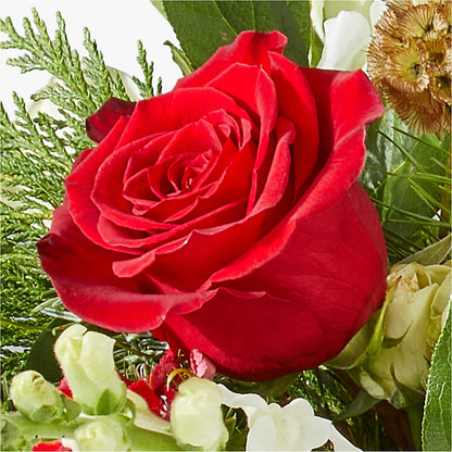 Deck the Halls Bouquet –  Oliver Flower Shop Inc, Pittsburgh PA
