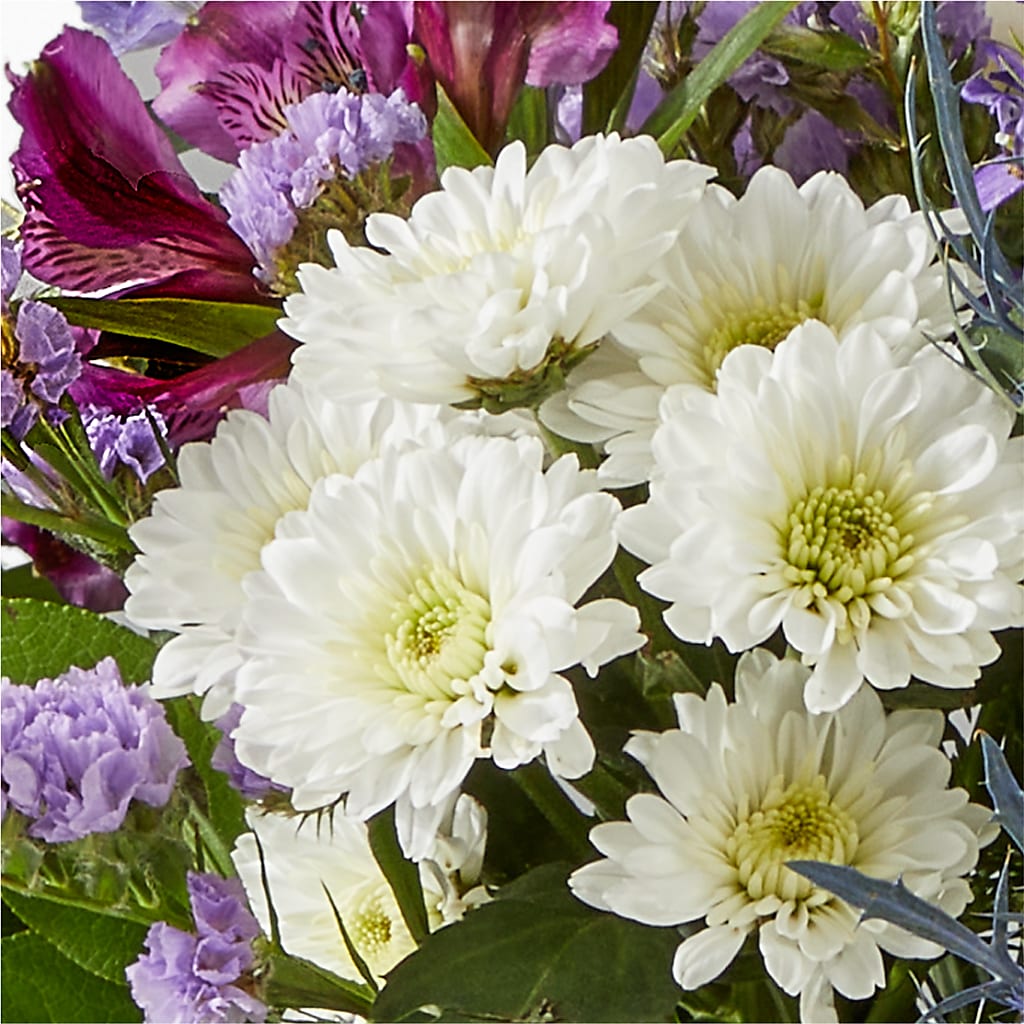 Shooting Star Bouquet –  Oliver Flower Shop Inc, Pittsburgh PA