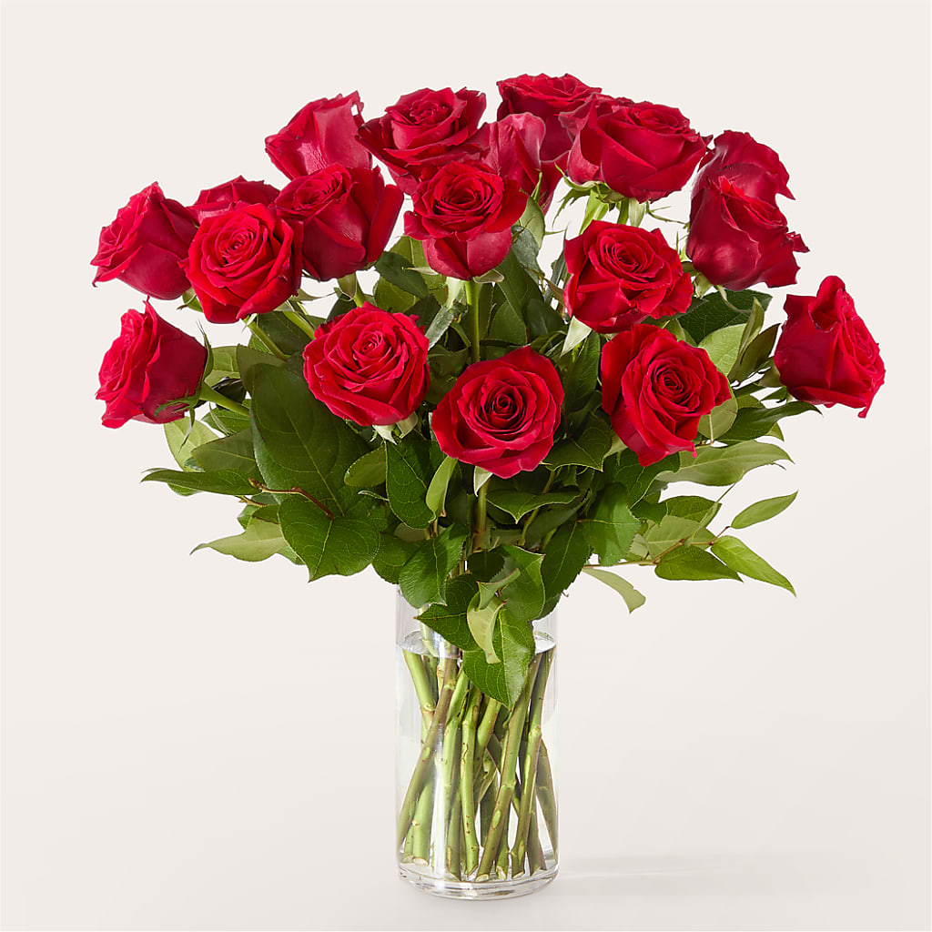 The One Red Rose Bouquet –  Oliver Flower Shop Inc, Pittsburgh PA