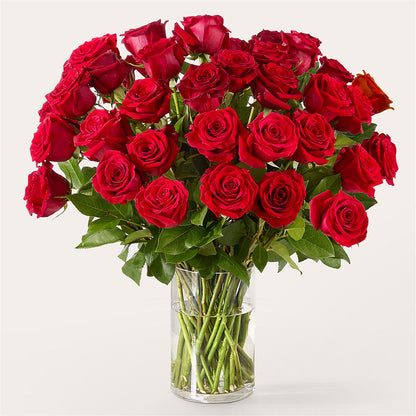 The One Red Rose Bouquet –  Oliver Flower Shop Inc, Pittsburgh PA