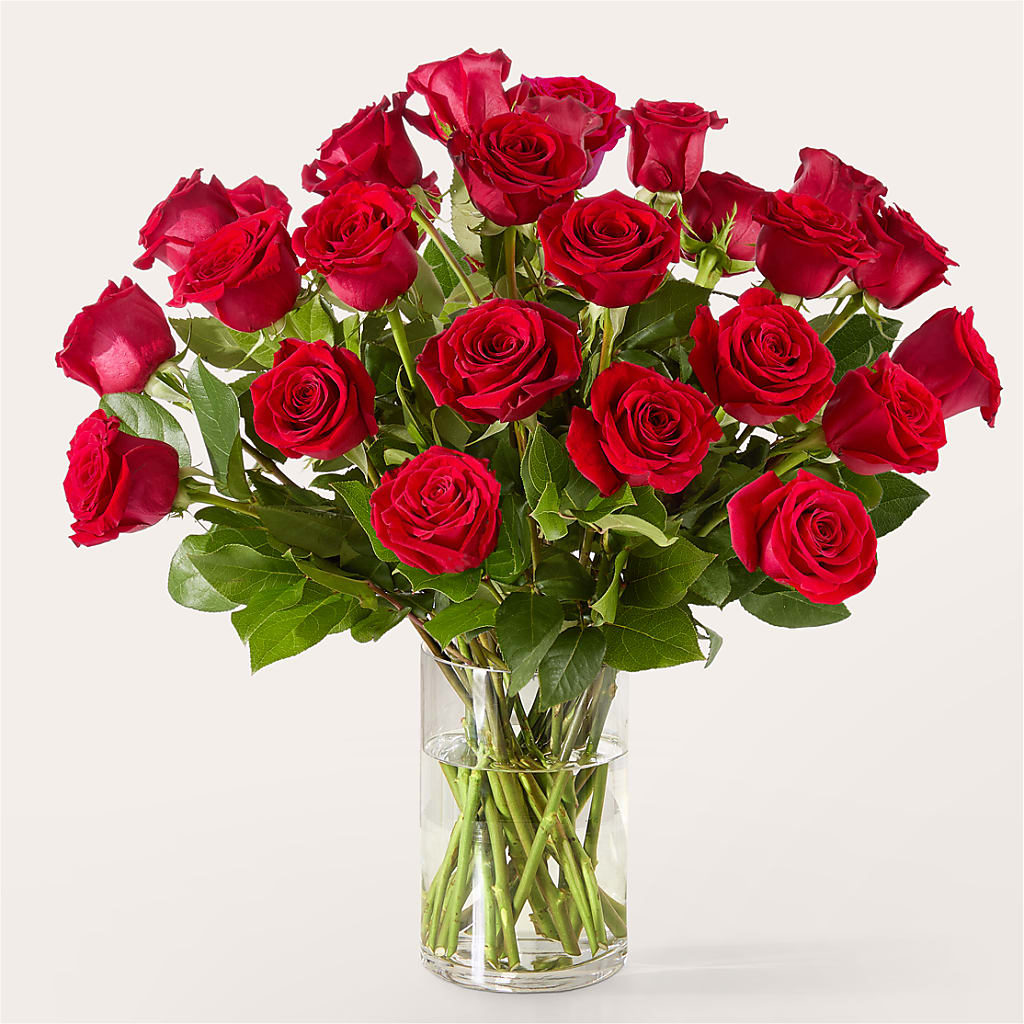 The One Red Rose Bouquet –  Oliver Flower Shop Inc, Pittsburgh PA