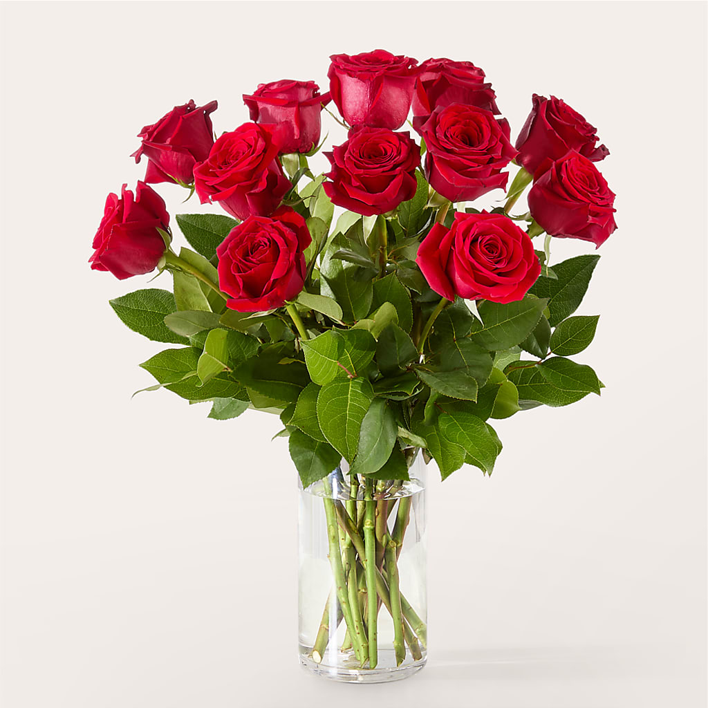 The One Red Rose Bouquet –  Oliver Flower Shop Inc, Pittsburgh PA