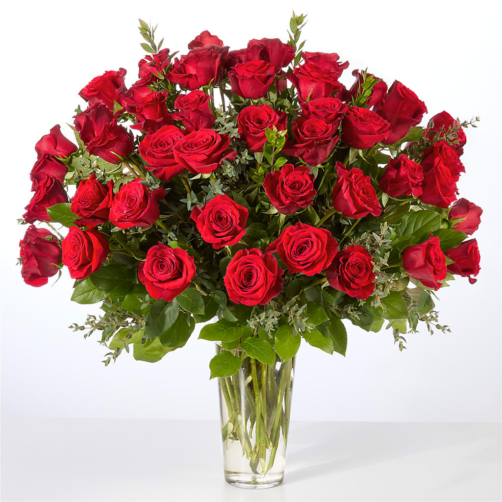Forever Yours Fifty Stem Red Rose Bouquet –  Oliver Flower Shop Inc, Pittsburgh PA