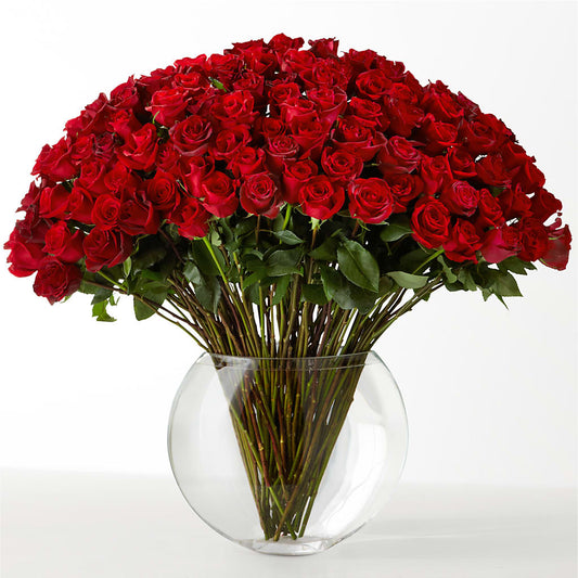 The Idealist –  Oliver Flower Shop Inc, Pittsburgh PA